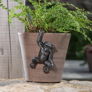 Op de afbeelding: Een bruine keramische pot met een aapje dat aan de zijkant hangt. Het aapje is zwart en heeft een textuur. De pot is gevuld met groene varens.
