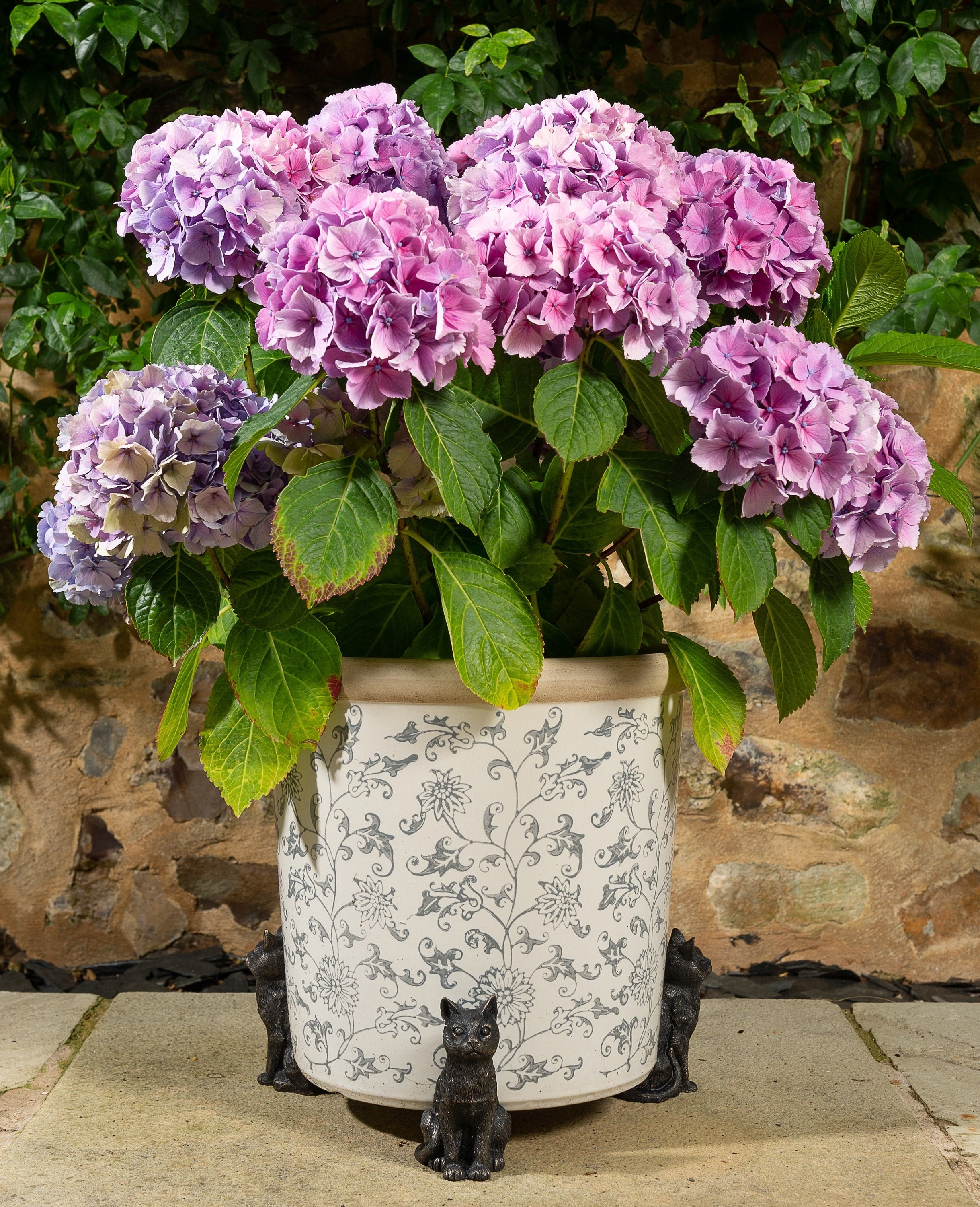 Cat Potty Feet Plant Pot Feet Antique Bronze Coloured Etsy