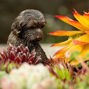 Charming Cockapoo Pot Buddy | Garden Ornament | British Design