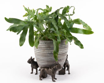 Bronze, French Bulldog, Potty Feet, Set of 3, Plant Pot Stand, Antique Decor, Pot Stand, Plant Pot Decor, Plant Pot Decoration, Garden Decor