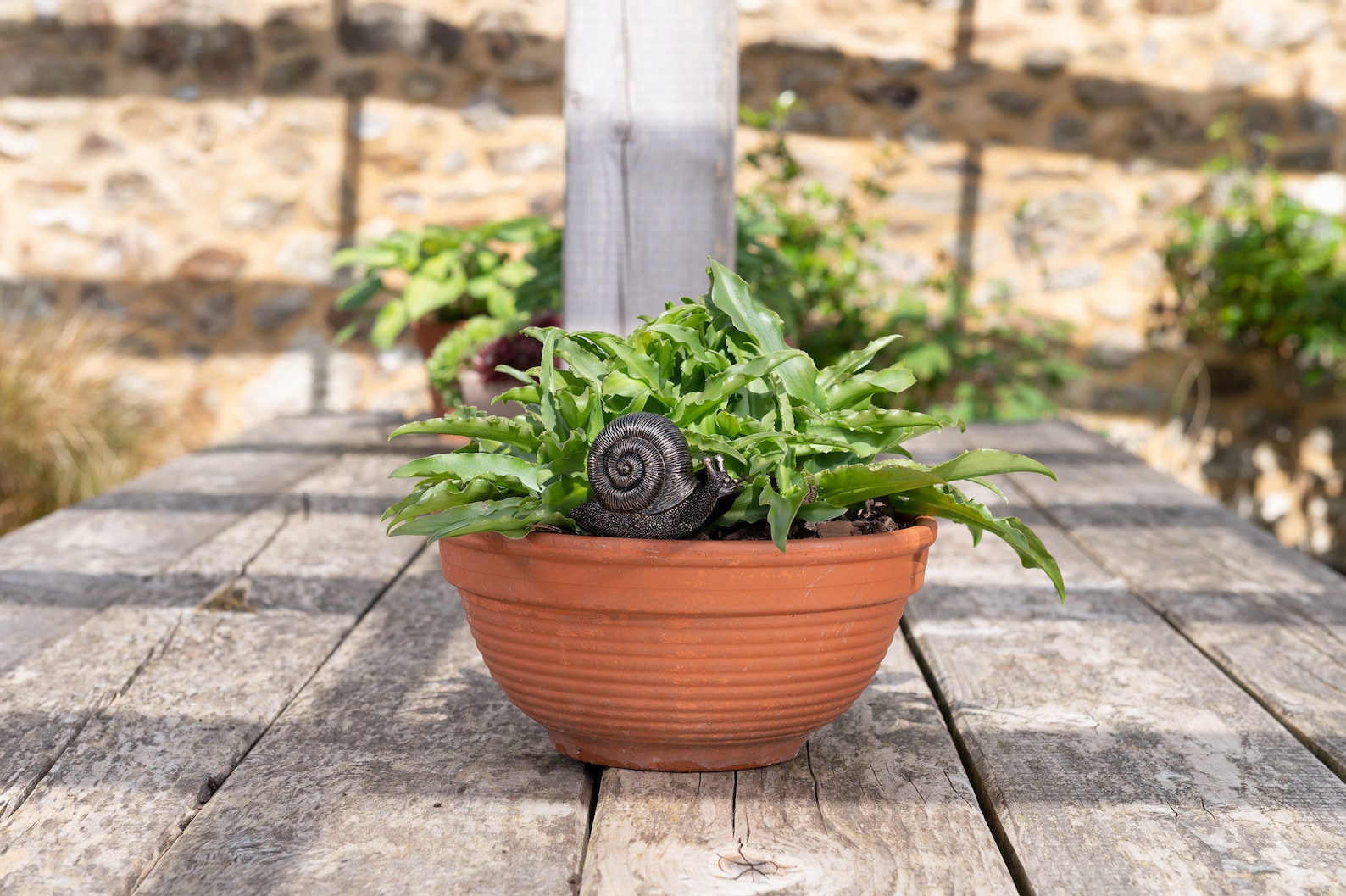 Snail Feeder Friend Drip Feeder. Liquid Drip Feed Snail Etsy UK