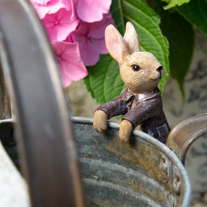 Beatrix Potter, Benjamin Bunny Pot Buddy, Pot Hanger, Rabbit Ornament, Rabbit Decor, Gift Boxed, Garden Gifts, Garden Decor, Plant Pot Decor