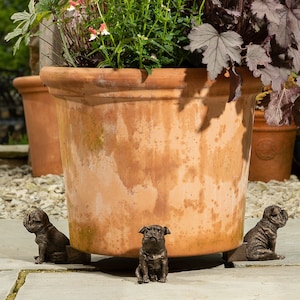 Bronze English Bulldog Potty Feet - Set of 3 - Antique Garden Decor