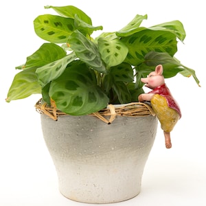 Pigling Bland Pot Buddy | Beatrix Potter Planter Hanger | Garden Ornament | Book Lover Gift | US Market Only