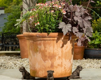 Bronze, English Bulldog, Potty Feet, Set of 3, Plant Pot Stand, Antique Decor, Pot Stand, Plant Pot Decor, Plant Pot Decoration, Garden