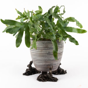 May include: A green leafy plant in a gray ceramic pot with a decorative base featuring four bronze rabbit sculptures.