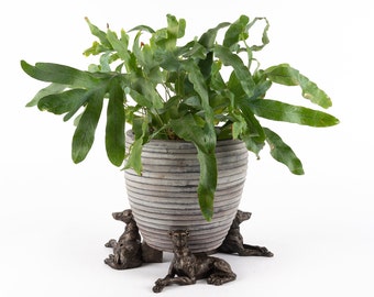 Bronze Greyhound Potty Feet, Set of 3, Plant Pot Stand, Antique Decor, Pot Stand, Plant Pot Decor, Plant Pot Decoration, Garden Decor