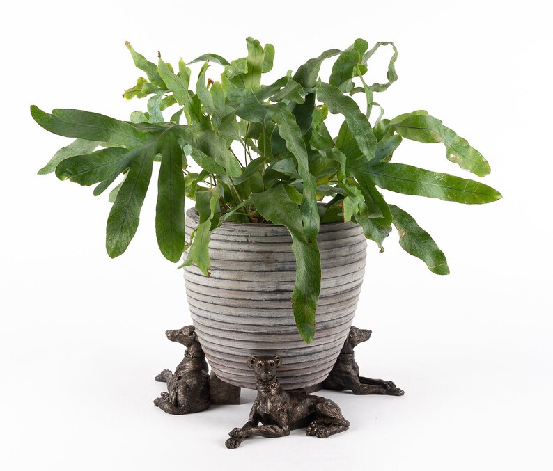 Greyhound Potty Feet Plant Pot Feet Antique Bronze Coloured Etsy UK