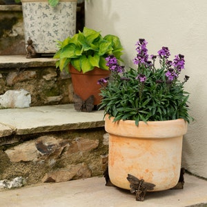 Puede incluir: Dos macetas de terracota con plantas en una escalera de piedra. La maceta en el escal&oacute;n inferior tiene flores moradas y la maceta en el escal&oacute;n superior tiene hojas verdes. Ambas macetas tienen soportes met&aacute;licos decorativos en forma de mariposa.