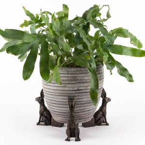 Juego de 3 orinal con forma de liebre sentada de color bronce, soporte para macetas, decoración antigua, soporte para macetas, decoración de jardín imagen 5