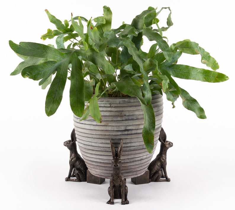 Large Sitting Hare Potty Feet Plant Pot Feet Antique Bronze Etsy