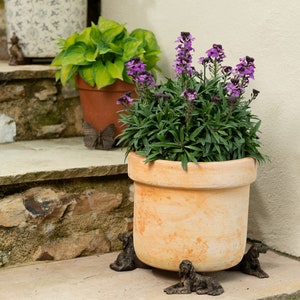 May include: A terracotta pot with purple flowers sits on a set of stone steps. The pot is decorated with four decorative metal dog figurines.
