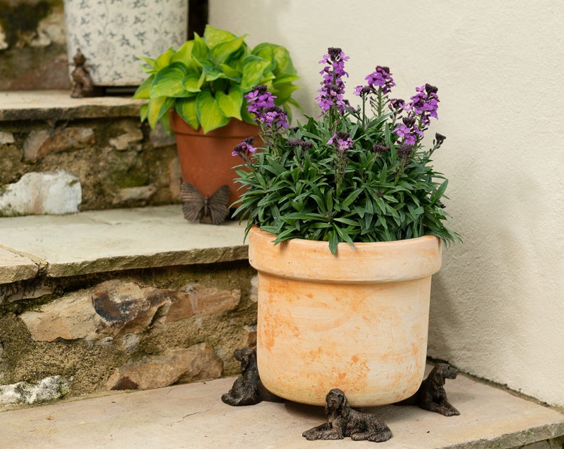 May include: A terracotta pot with purple flowers sits on a set of stone steps. The pot is decorated with four decorative metal dog figurines.