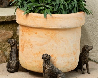 May include: Three bronze dog figurines, two standing and one sitting, are placed around a terracotta flower pot with green plants.