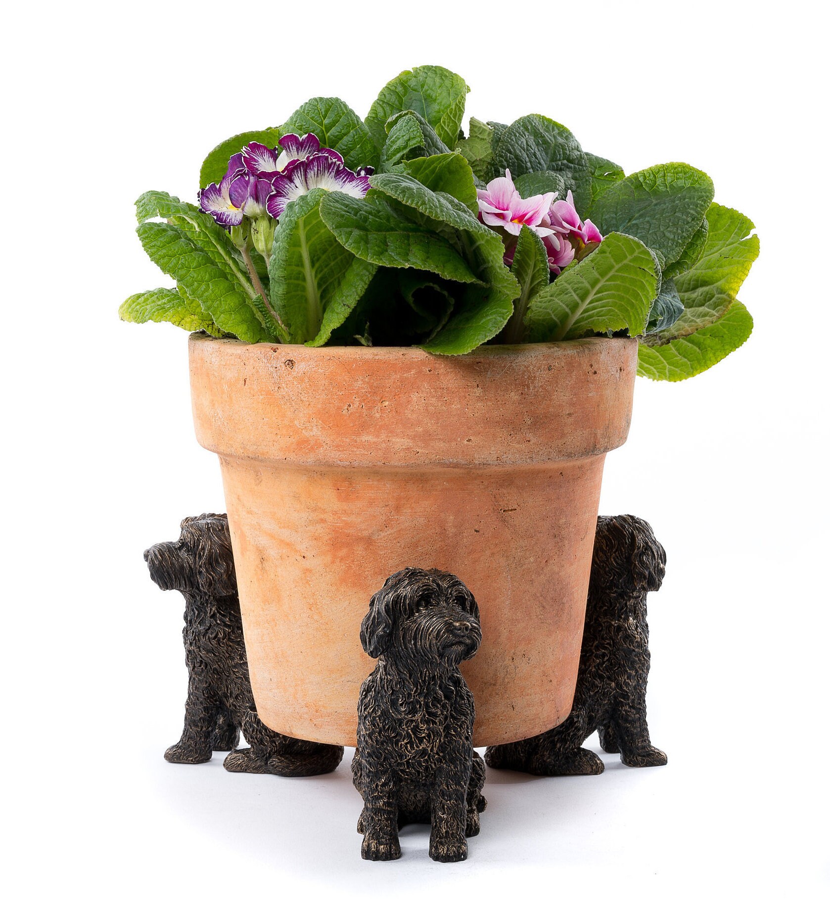 Bronze Coloured CockaPoo Potty Feet Plant Pot Feet x 3 Etsy