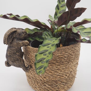 May include: A brown rabbit figurine climbing a woven rope planter with a green and brown leafy plant inside.