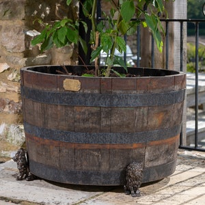 May include: A wooden barrel planter with metal bands and lion-shaped feet. The planter is filled with soil and a green plant is growing out of it.