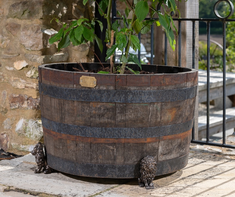 May include: A wooden barrel planter with metal bands and lion-shaped feet. The planter is filled with soil and a green plant is growing out of it.
