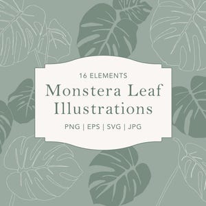 May include: A digital illustration set of 16 Monstera leaf designs in various sizes and orientations. The leaves are outlined in white and filled with a light green color. The text "16 Elements Monstera Leaf Illustrations PNG | EPS | SVG | JPG" is displayed in a white banner.