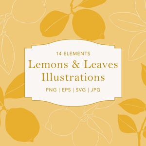 Lemons & Leaves Clip Art - EPS Hand Drawn Botanical Line Art- SVG Circuit Illustration - Download Digital Clipart - PNG Nature Clipart