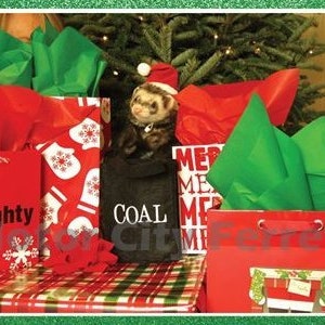 Ferret Holiday 6 Card Set Seals FREE SHIP Christmas, Xmas, Note Cards, Blank Inside image 6