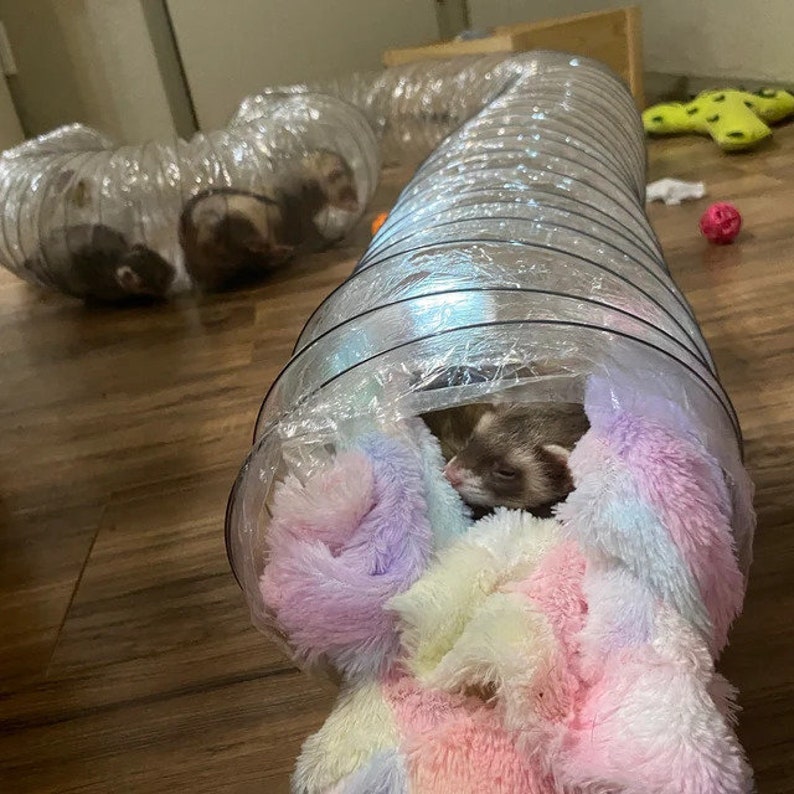 Le meilleur jouet pour furet de tous les temps Tubes à entonnoir transparent extra longs pour furets, chats, chatons, rats, cobayes et petits animaux image 8