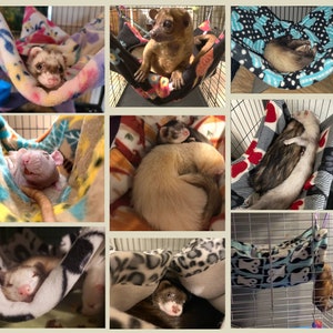 May include: A collage of nine images showing various small animals, including ferrets, a rat, and a procyonid, sleeping in different colored and patterned fleece hammocks.
