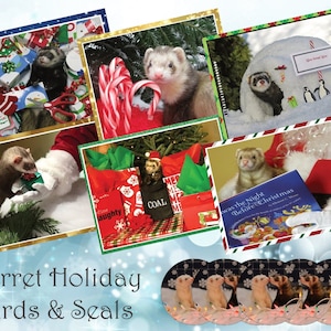 May include: A collection of Christmas cards featuring ferrets in various holiday scenes. The cards feature ferrets wearing Santa hats, opening presents, and playing in the snow. The cards are perfect for sending holiday greetings to friends and family.