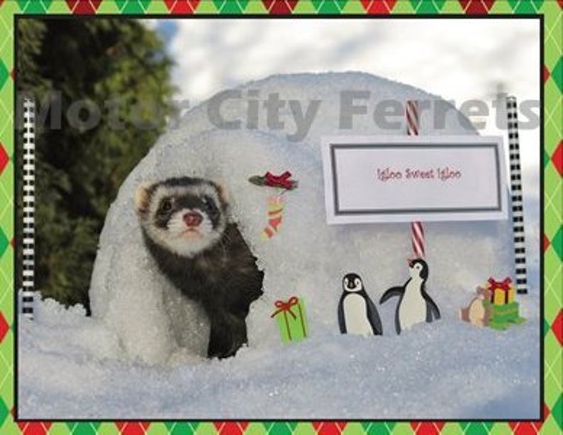 Ferret Holiday 6 Card Set Seals FREE SHIP Christmas, Xmas, Note Cards, Blank Inside image 4