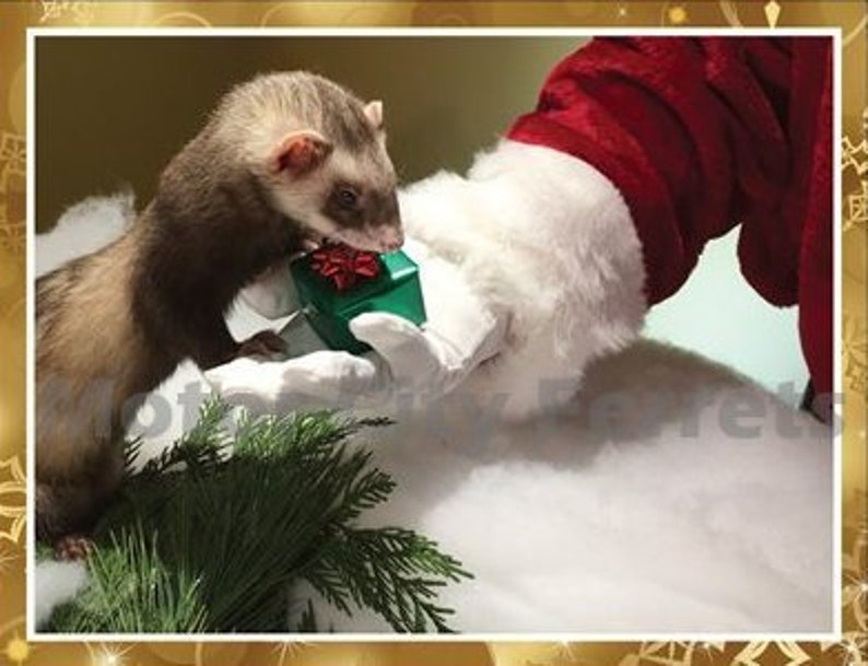 Ferret Holiday Cards Seals Christmas, Xmas, Note Cards, Blank Inside image 4