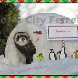 Ferret Holiday Cards Seals Christmas, Xmas, Note Cards, Blank Inside image 5