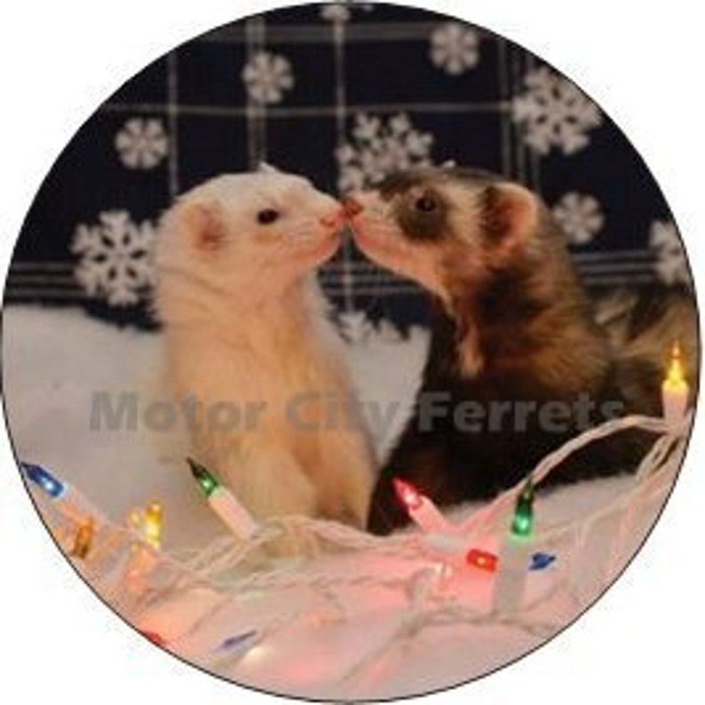 Ferret Holiday Cards Seals Christmas, Xmas, Note Cards, Blank Inside image 8