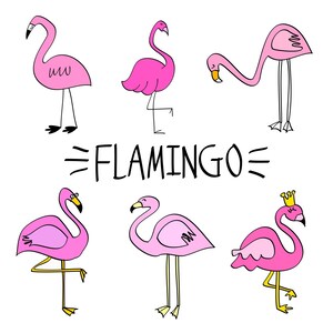 以下が含まれることがあります： さまざまなポーズをとったピンクのフラミンゴのイラスト6点セット。イラストの下には黒い文字で「FLAMINGO」と書かれています。