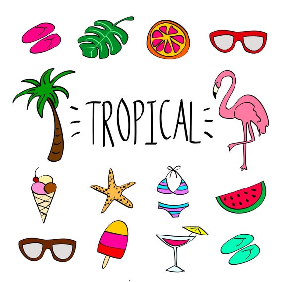Tropical Clip Art Hand Drawn Graphic Clipart in SVG PNG | Etsy