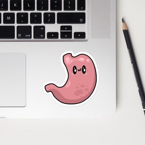 Niedlicher Magen-Kuss-Schnitt-Aufkleber, Humanbiologie, Doktor, Abschlussgeschenke, Kawaii-Organe, STEM, Lehrer für Naturwissenschaften