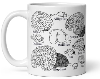 Types Of Brains Mug, Neuroscience, Neurology Gifts, Graduation Gift, Psychology Student, Brain