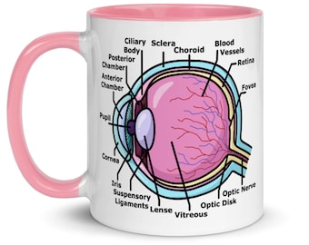 Taza con diagrama de ojos, anatomía colorida, regalo para optometrista