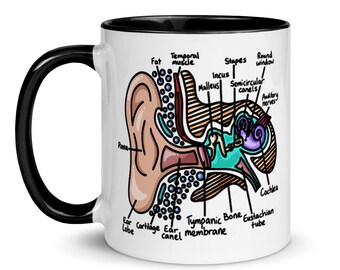 Inner Ear Diagram Color Mug, Audiology Gifts, Auditory Pathway, Graduation Gift, Science Teacher, Human Anatomy
