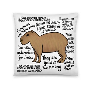 Capybara Facts Pillow, Biology, Science Teacher, Adorable Animals, Cute Cavy, Biologist,