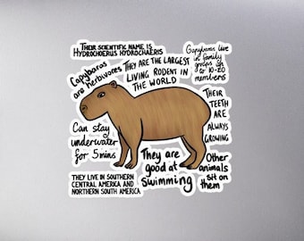 Pegatina troquelada con datos sobre el capibara, arte biológico de roedores