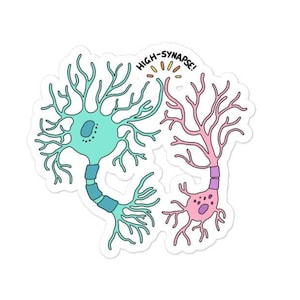 Neuron High Synapse Kiss Cut Sticker, Neuroscience, Neurology Gift, Graduation Gifts, Science Teacher, Psychology, Brain Nerd, STEM