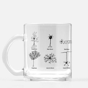 Types Of Neurons Glass Mug, Neuroscience, Psychology, College, School, Graduation Gifts, Brain, Nerdy mugs, science nerd, Neurology Gift