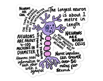 Neuron With Facts Kiss Cut Sticker, Neuroscience, Brain Cell, Graduation Gift, Neurology Student, Science Teacher