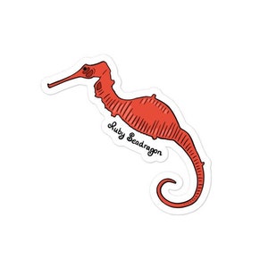 May include: A sticker featuring a red seahorse illustration with the text "Ruby Seadragon". The seahorse has a long snout and a curled tail, set against a white background. The design is a cartoon style.