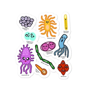 細菌の種類 キスカットステッカー、微生物学、生物学ギフト、卒業ギフト、科学オタク、ウイルス学、かわいい、研究室、STEM の女性