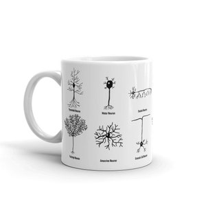 Neuron Types Mug, Neuroscience, brain, mug life, science mug, geeky mug, nerdy, back to college, neuroscience gifts,