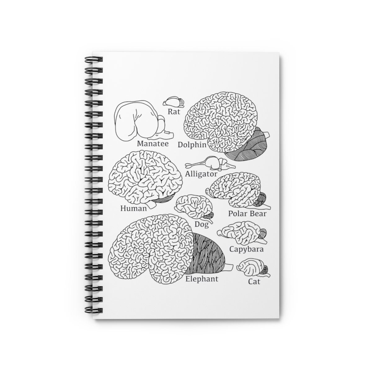 Types of Brains Spiral Notebook Ruled Line, Neuroscience, Graduation ...