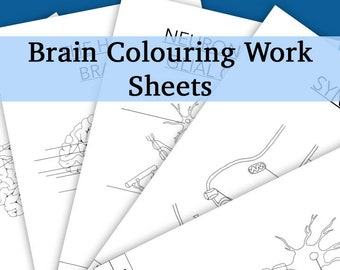 Brain Colouring Pages: Neuroscience Worksheets (Digital Download)