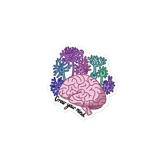 Brain Games - Sticker by Number: In the Garden (Easy - Square Stickers):  Create Beautiful Art With Easy to Use Sticker Fun!