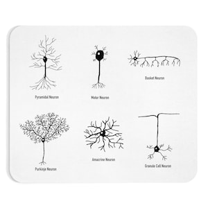 May include: A white mouse mat displaying six black and white diagrams of neurons, such as Pyramidal and Motor Neurons. Each illustration is labelled with its name, including Basket, Purkinje, Amacrine, and Granule Cell Neurons.